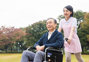 画像：観光・小旅行